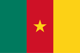 Drapeau Cameroun